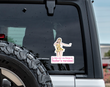 Car Window Clings