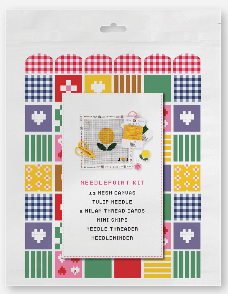 Beginner Needlepoint Kit