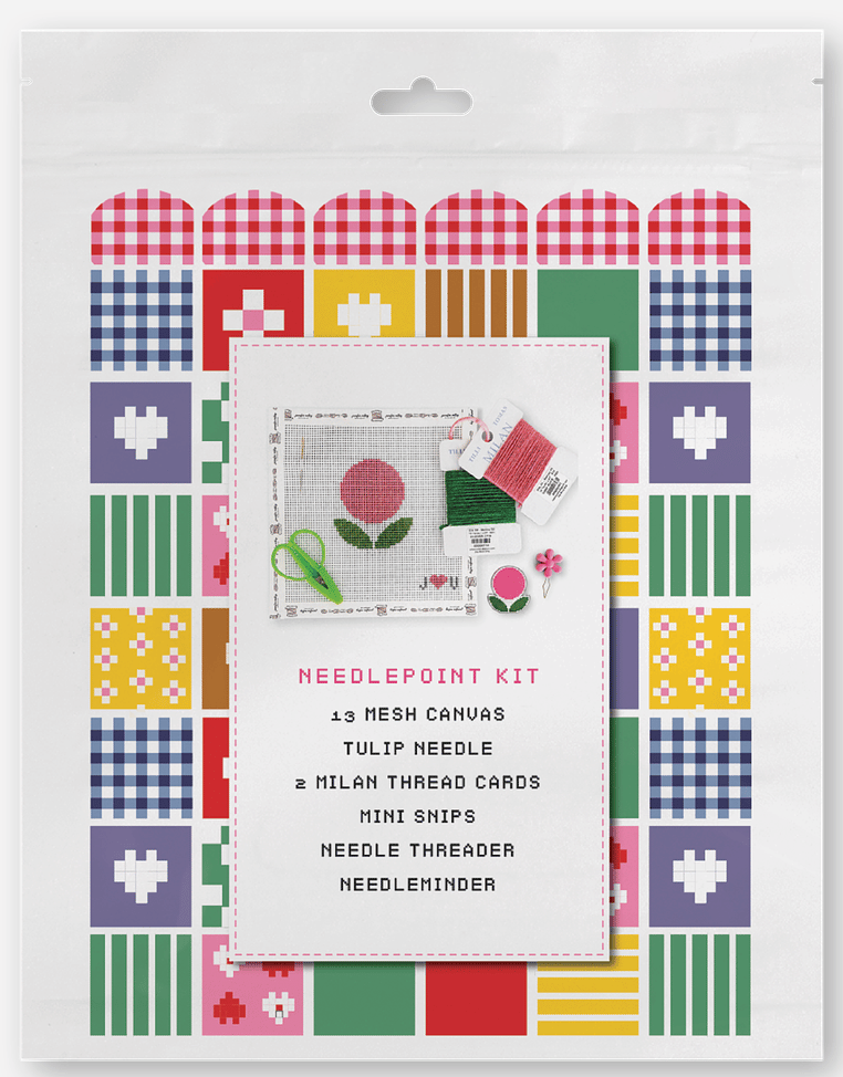 Beginner Needlepoint Kit