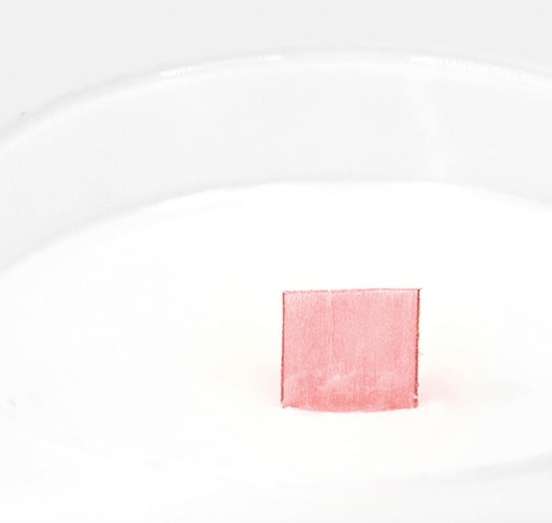 I Can Buy Myself Flowers Pink Wick Frosted Candle